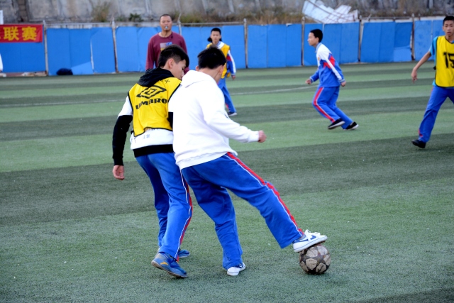 弗格29+11+10张镇麟20分 辽宁大胜福建