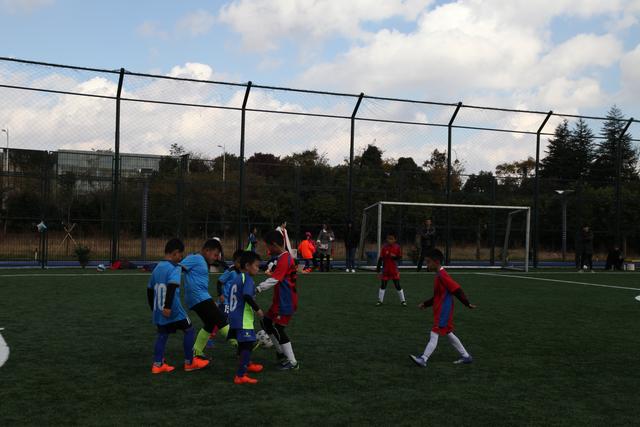 杨瀚森14+10+8青岛险胜广厦 胡金秋空砍32分